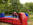 location ring de boxe gonflable