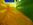 jeu gonflable oceanland 28
