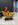 manege kiddie
