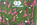 location photobooth