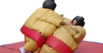 Costume Sumo adulte
